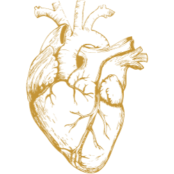 Comunicazione Empatica